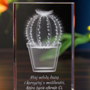 Kaktus pełen życia - 2