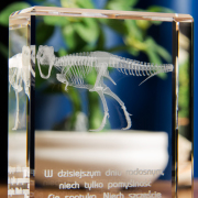Statuetka z Tyranozaurem