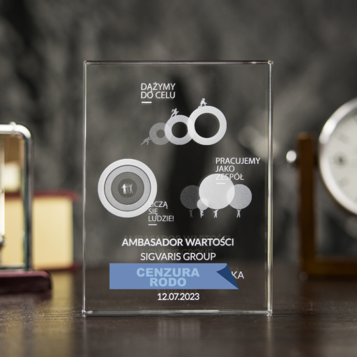 Ambasador wartości - nagroda 3D - 2