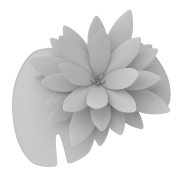 Lilia - 2