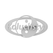 Logo Koluchstyle - 1