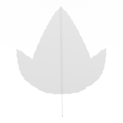 Liść - 1