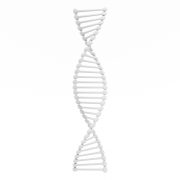 Podwójna helisa DNA - 1
