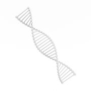 Podwójna helisa DNA - 2