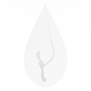 Logo Kropla Szczęścia #2
