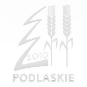 Choinka podlsakie 2010 - 1