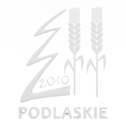 Choinka podlsakie 2010 - 1