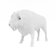 Render 3D Żubra