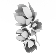 Magnolia - 2