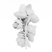 Magnolia - 3