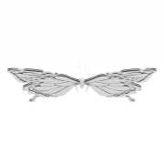 Motyl z Kwiatami