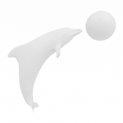 Delfin z piłką