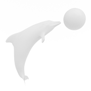 Delfin z piłką