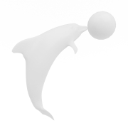 Delfin z piłką - 3