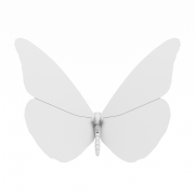 Piękny motyl - 2