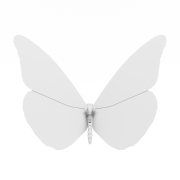 Piękny motyl - 2
