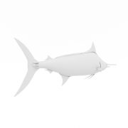 Ryba marlin - 2