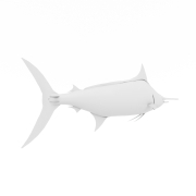 Ryba marlin - 2