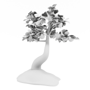 Drzewko Bonsai_2