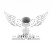 Nagroda Best Award Winner #3
