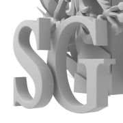 Logo Straży Granicznej - 3
