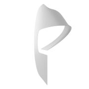 Logotyp Lider 2018 - 3