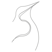 Pingwin Iglotex - 1