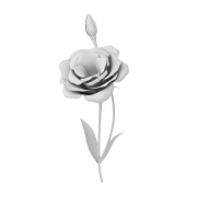 Eustoma - 1