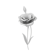 Eustoma - 2
