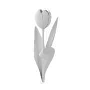 Tulipan - 2