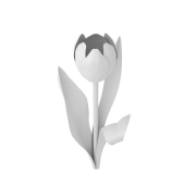 Tulipan - 3