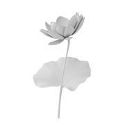 Kwiat Lotosu - 2