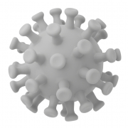 Corona Virus - 2