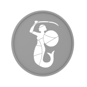 Logo 3D WSNP - 2