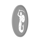 Logo 3D WSNP - 3