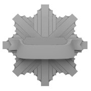 Odznaka policyjna - 1