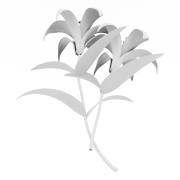 Lilie - 4