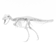 T-Rex