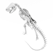 T-Rex - 2
