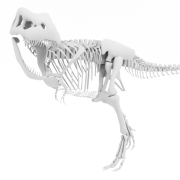 T-Rex - 3