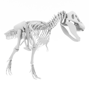 T-Rex - 4