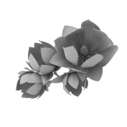 Magnolia - 2