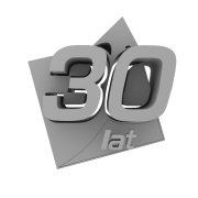 Logo 3D Palisander - 3