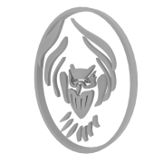 Logo 3D Sowa IWSW - 1