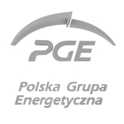Logo 3D Polskiej Grupy Energetycznej - 2