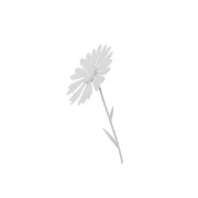 1_3S49_rnd_02