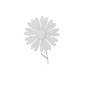 1_3S49_rnd_03