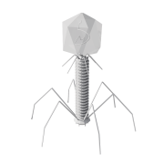 3P79_rnd_2