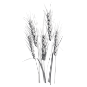 3R16_rnd_1