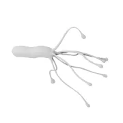 3S45_rnd_04